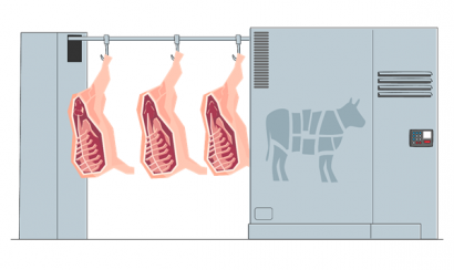 Дезинфекция холодильных камер озоном
