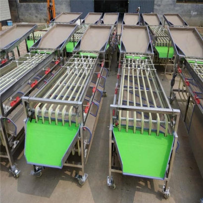 Машина для сортировки/калибровки овощей и фруктов Vega Sorting H2000