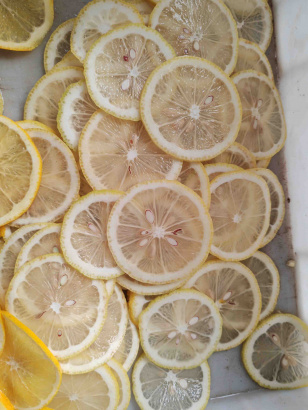 Машина для нарезки чипсов из фруктов Vega Belt Cutter H20