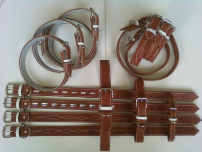 Petryaj-ошейники, поводки, шлейки оптом