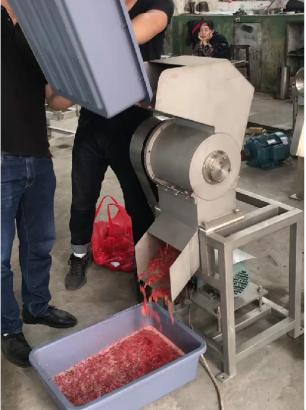 Измельчитель для продуктов Vega Vegetables Shredder H100