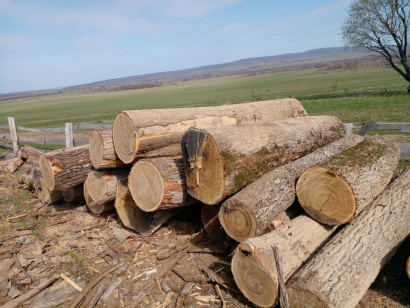 Дубовая, ясеневая обрезная доска