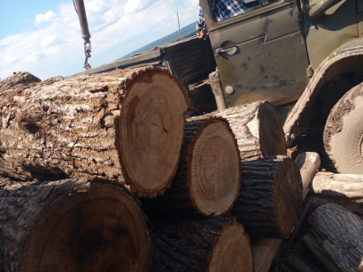 Дубовая, ясеневая обрезная доска