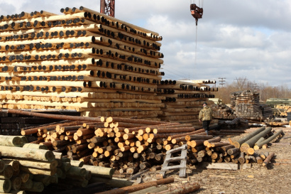 Деревянные опоры ЛЭП пропитанные от производителя