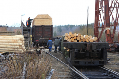 Деревянные столбы электрические, для линий связи и освещения