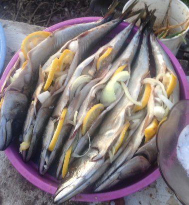 Комбинированная коптильня от производителя