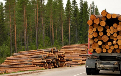 Пиломатериалы