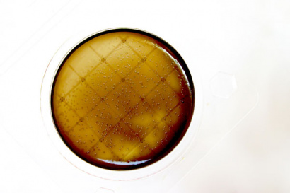 Экспресс-тест на Листерию Аналог 3M Petrifilm (EL)