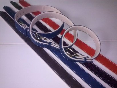 Petryaj-ошейники, поводки, шлейки оптом