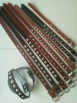 Petryaj-ошейники, поводки, шлейки оптом