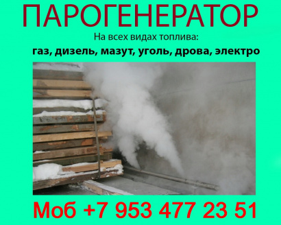 Парогенератор для пропарочной камеры