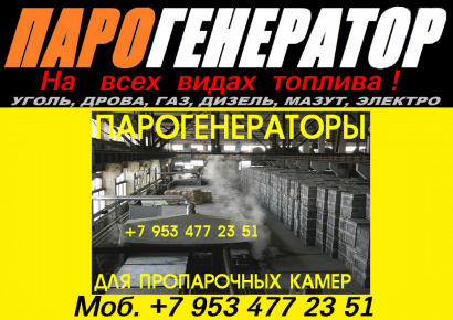 Парогенератор для пропарочной камеры