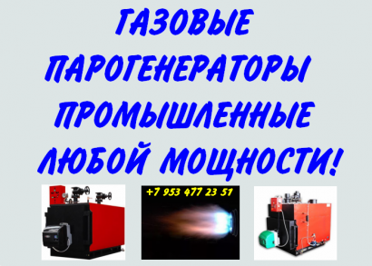 Парогенератор газовый промышленный