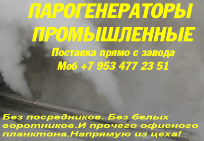 Паровой котел промышленный