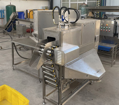 Машина для очистки лука Vega Onion H500