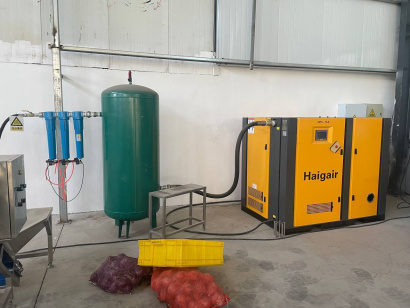 Линия для очистки лука Vega Onion Line Avtomat Н1500