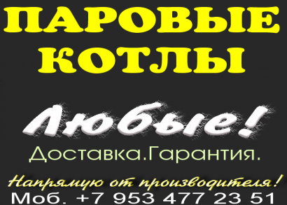 Паровой котел промышленный