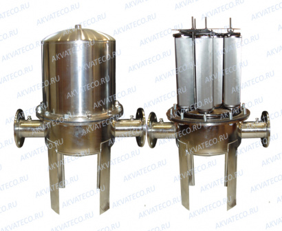 Промышленный нержавеющий фильтр Ресурс-10С-ФФл (10") ДУ 50