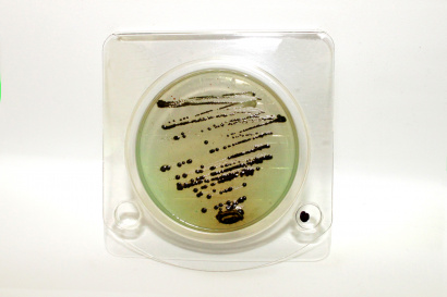 Экспресс-тест на определение Сальмонеллы (петритест), аналог 3М, 3М Petrifilm SALX