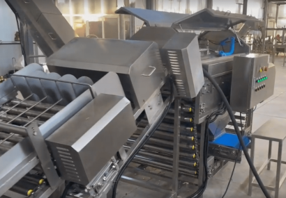 Линия для очистки лука Vega Onion Line Avtomat Н1500