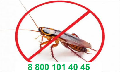Уничтожение тараканов