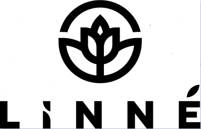 Сотрудничество