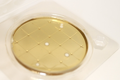 Экспресс-тест на определение стафилококка (петритест), аналог 3M Petrifilm (STX)