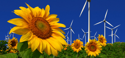 Растительное масло (рафинированное дезодорированное, нерафинированное), шрот подсолнечный, пеллеты топливные