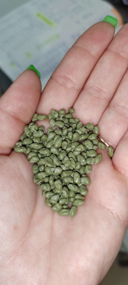 Вторичная гранула ПП