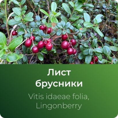 Брусники экстракт сухой