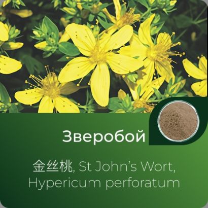 Зверобоя экстракт сухой