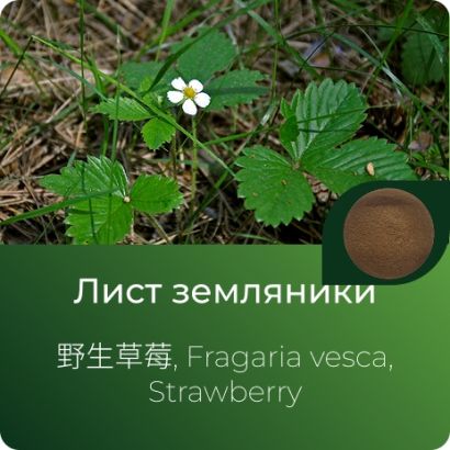 Земляники экстракт сухой