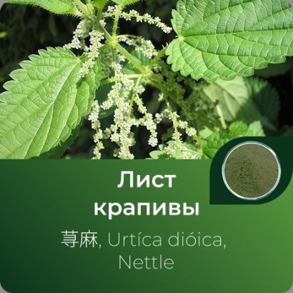 Крапивы листьев экстракт сухой