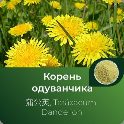 Одуванчика корня экстракт сухой