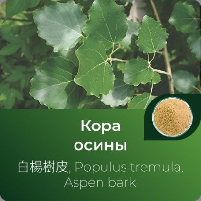 Осины коры экстракт сухой
