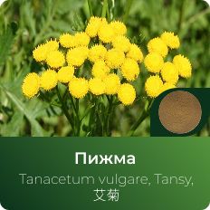 Пижмы экстракт сухой