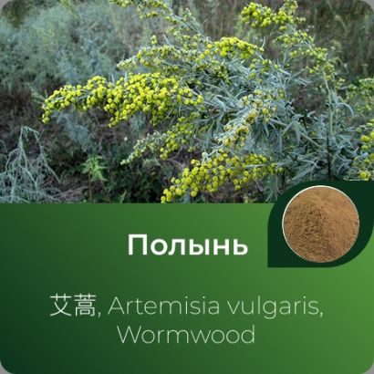 Полыни экстракт сухой