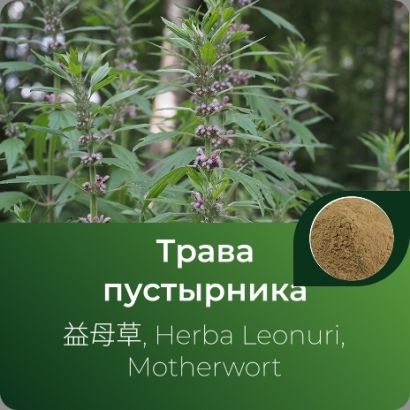 Пустырника экстракт сухой