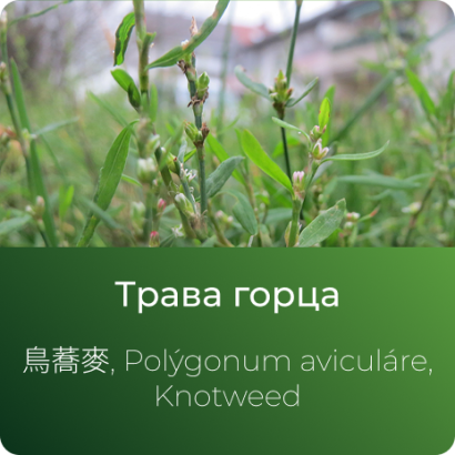 Горца (спорыша) экстракт сухой
