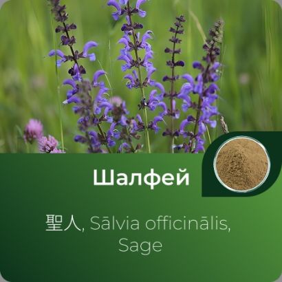 Шалфея экстракт сухой