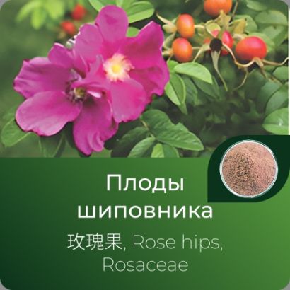 Шиповника плодов экстракт сухой