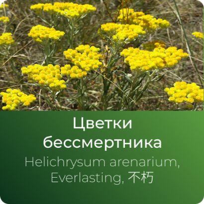  Бессмертника экстракт сухой