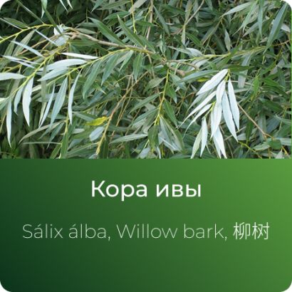  Ивы экстракт сухой