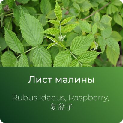  Малины экстракт сухой