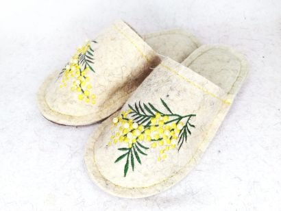 Т-160 «Мимоза»