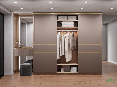 Шкаф купе Флай Лайн 