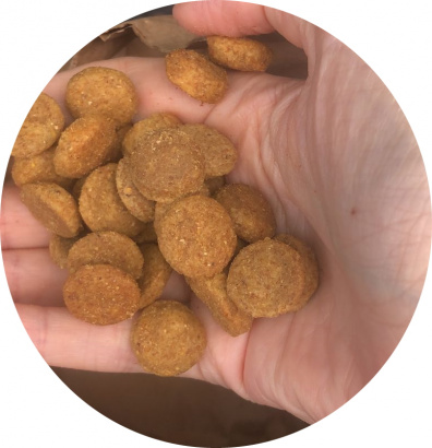 Сухой корм President