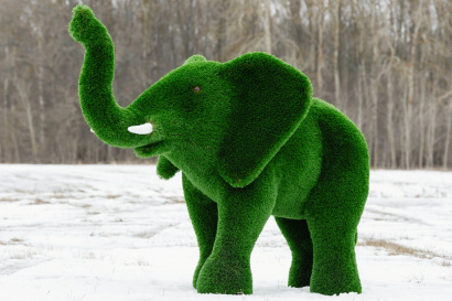 Топиарная фигура слон африканский