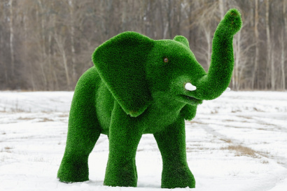 Топиарная фигура слон африканский