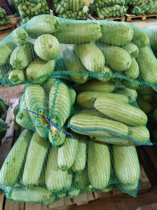 Кабачок свежий (для переработки)